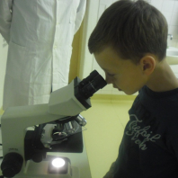 mikroskop19