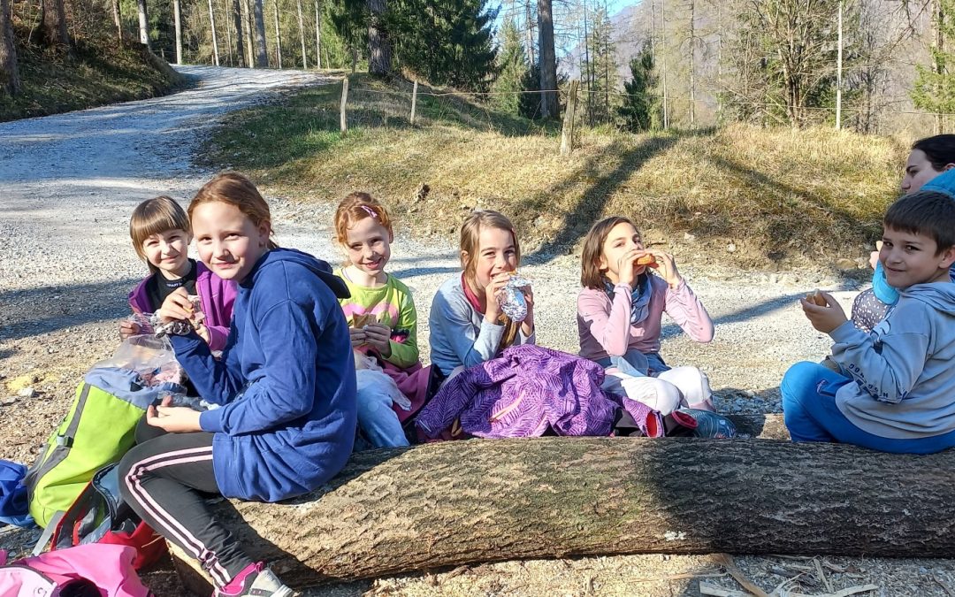 PLANINSKI IZLET NA KOJCO