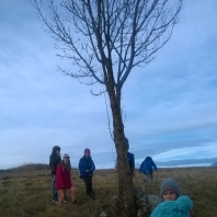 wp_20150127_007