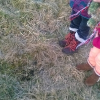 wp_20150127_011