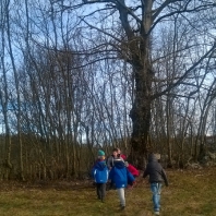 wp_20150127_016