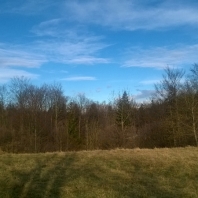 wp_20150127_024