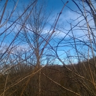 wp_20150127_027