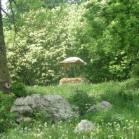 obisk-kmetije-in-sirarne-052