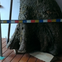 imag1733