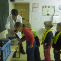 mikroskop08
