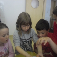 sam_0585