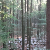 20180929_085828