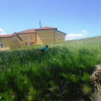 sam_0662