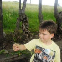 sam_0731