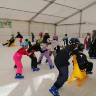 IMG_20250207_105608