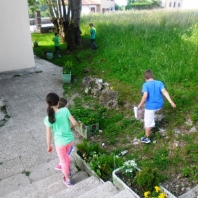 sam_1682