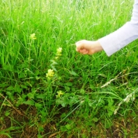 sam_1683